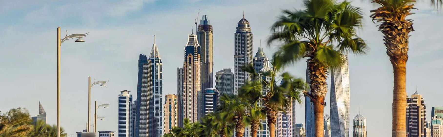 Dubai Marina towers behind palm trees